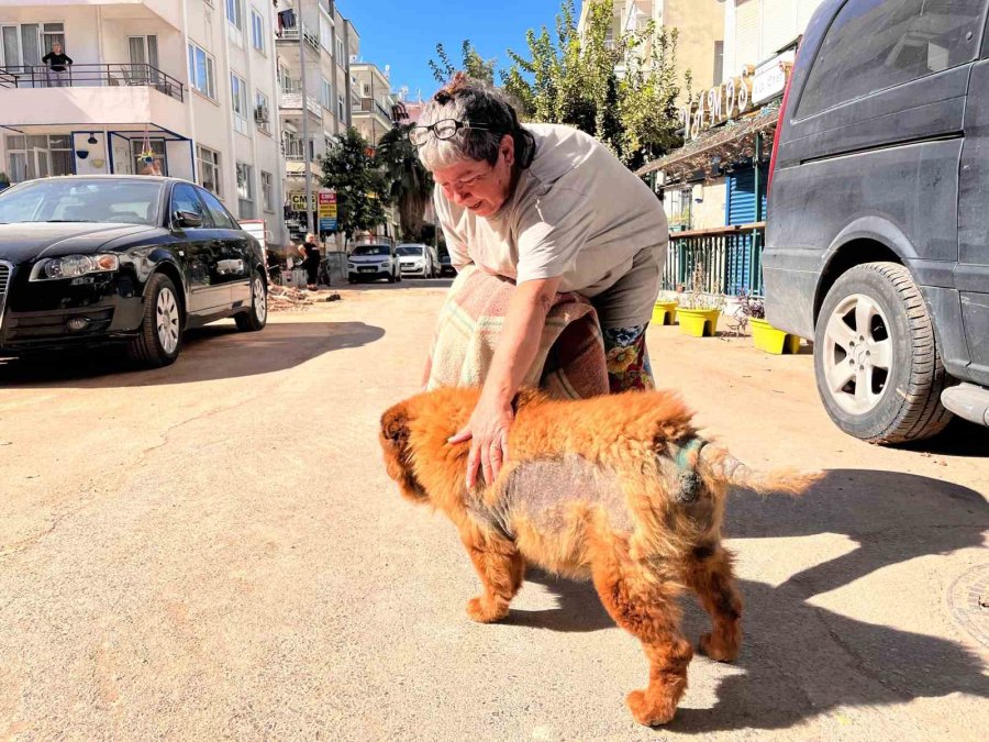 Görme Ve İşitme Engelli ’çarşaf’ Adlı Köpek İnşaat Sahasına Düştü, Battaniyeye Sarılarak Kurtarıldı