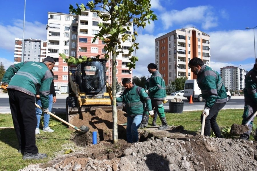 Başkan Çolakbayrakdar: "gelecek İçin Yapılacak En Önemli Yatırım Ağaç Dikmektir"