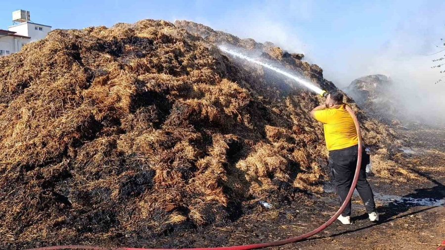 Lastikçide Başlayan Yangın 3 Bin Balya Samanı Küle Çevirdi