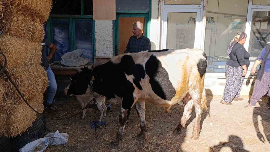 Lastikçide Başlayan Yangın 3 Bin Balya Samanı Küle Çevirdi