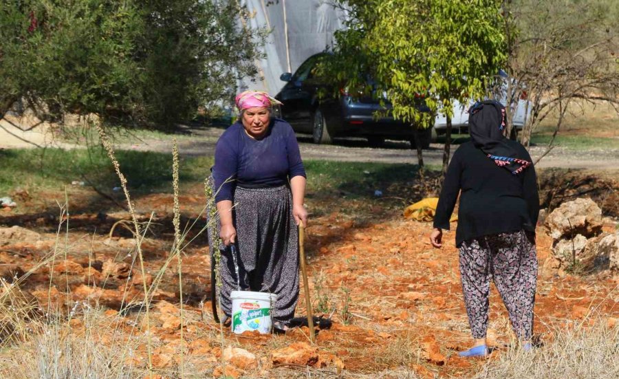 Evinin Etrafını Saran Alevlere Gözyaşları İçinde Hortumla Müdahale Etti