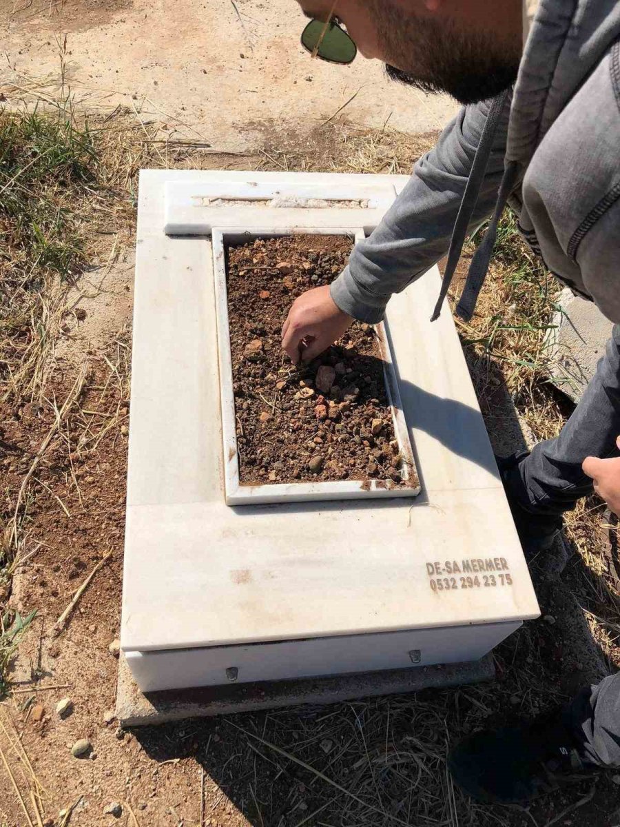 İki Kızın Severken Ölümüne Neden Olduğu Köpeğe Otopsi Yapılacak