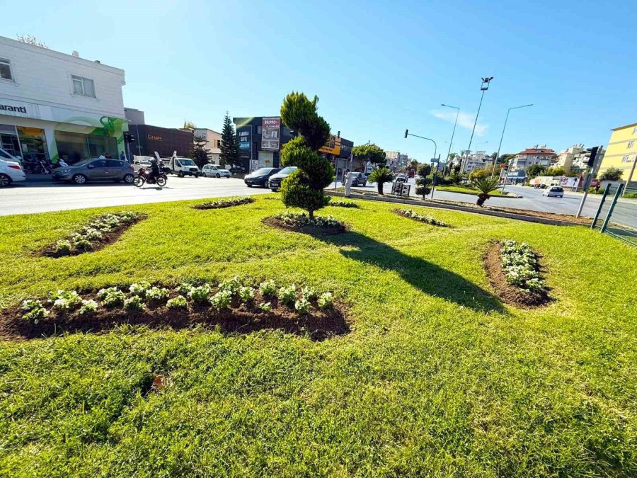 Alanya Belediyesi Mevsimlik Çiçek Dikimlerine Başladı