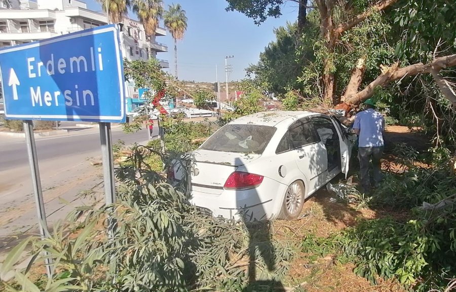 Otomobil Ağaca Vurdu, Sürücü Yaralı Kurtuldu