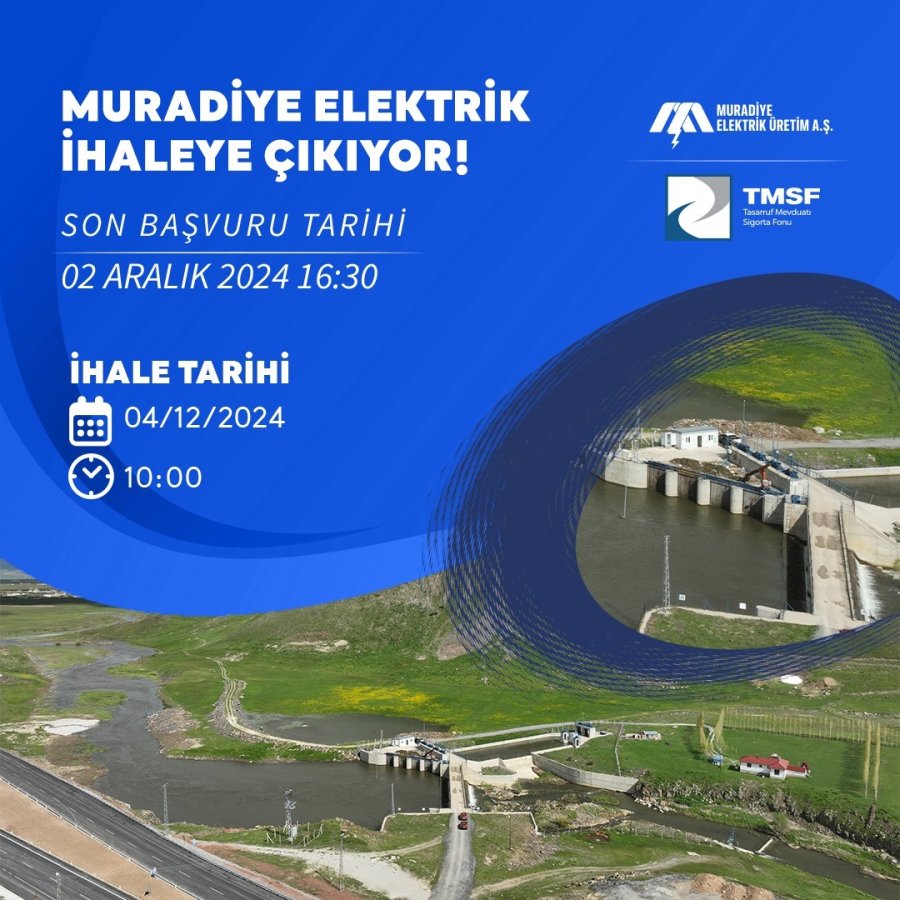 Enerji Ve Kimya Sektöründe Yeni Yatırım Fırsatı: Rhg Enertürk Enerji, Muradiye Elektrik Ve Form Sünger Satışta