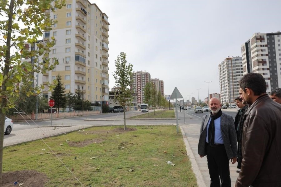 Başkan Çolakbayrakdar: "bahar Ayında Yemyeşil Bir Kayseri İle Uyanacağız"