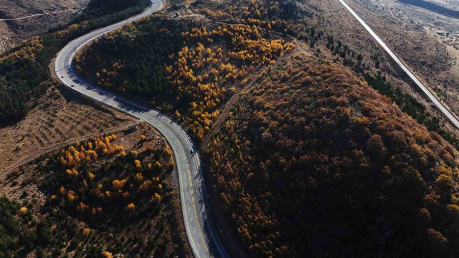 Erciyes’in Eteklerinde Renk Cümbüşü