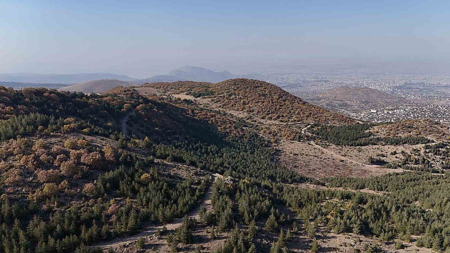 Erciyes’in Eteklerinde Renk Cümbüşü