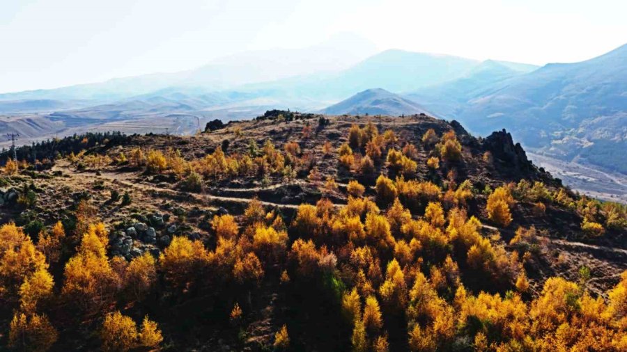 Erciyes’in Eteklerinde Renk Cümbüşü