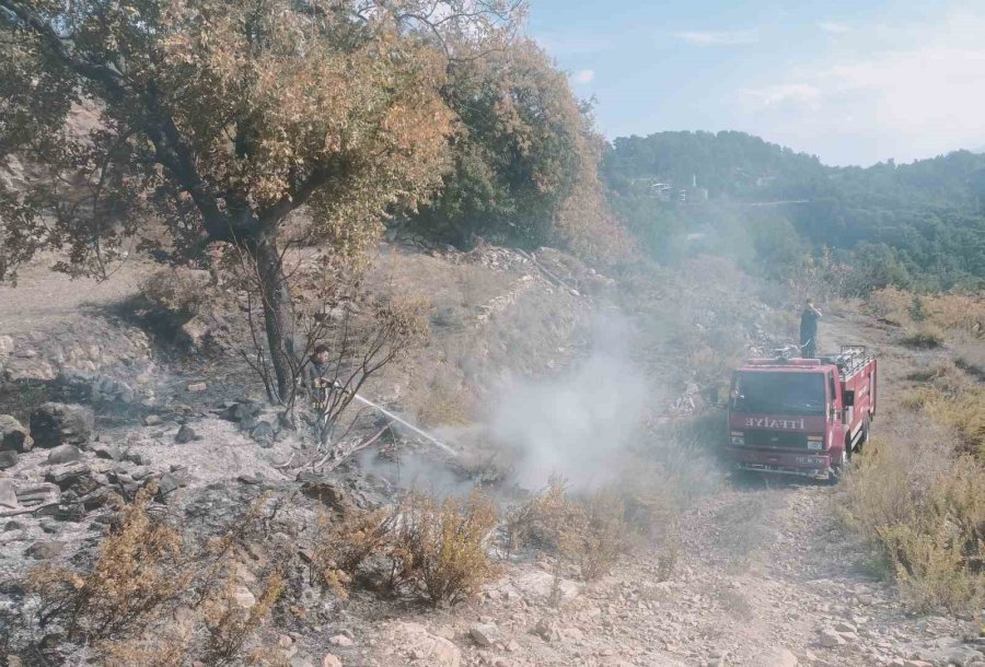 Alanya’da Merada Çıkan Yangın Kontrol Altına Alındı