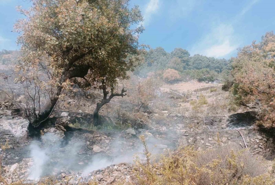 Alanya’da Merada Çıkan Yangın Kontrol Altına Alındı