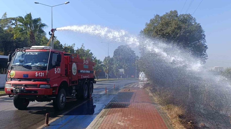 Ağaç Ve Çalılık Yangınında Kirpi Telef Oldu, Kamyonet Zarar Gördü