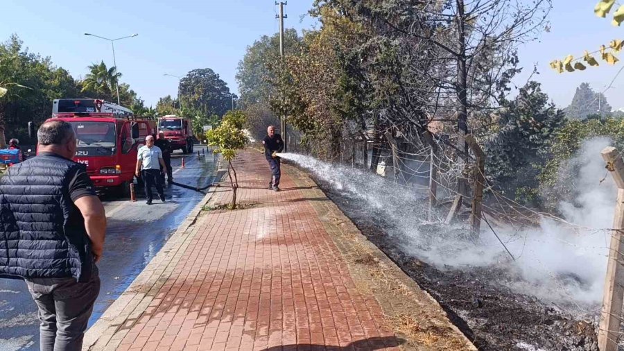 Ağaç Ve Çalılık Yangınında Kirpi Telef Oldu, Kamyonet Zarar Gördü