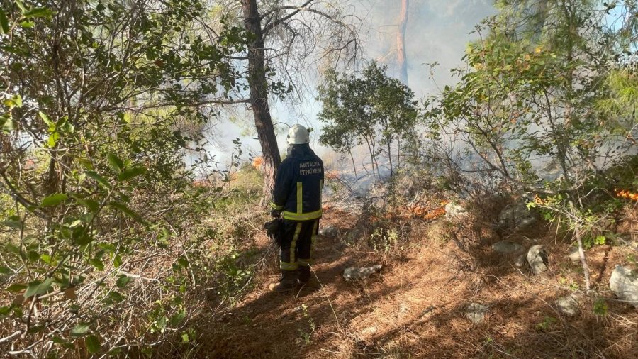 Antalya’da Hava Aracı Ormanlık Alana Düşüp İnfilak Etti