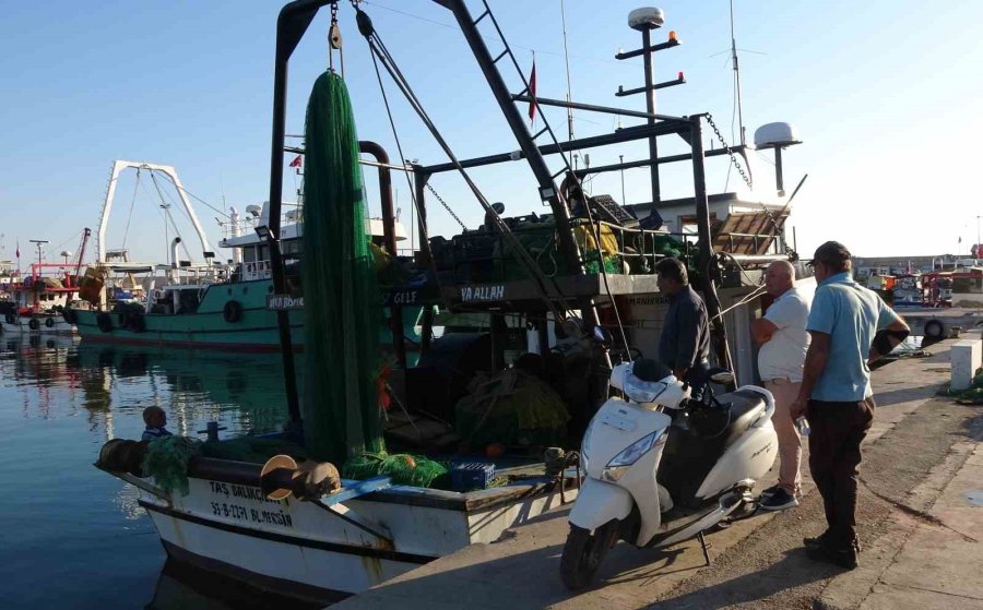 Doğu Akdeniz’de Balık Popülasyonu Azalıyor