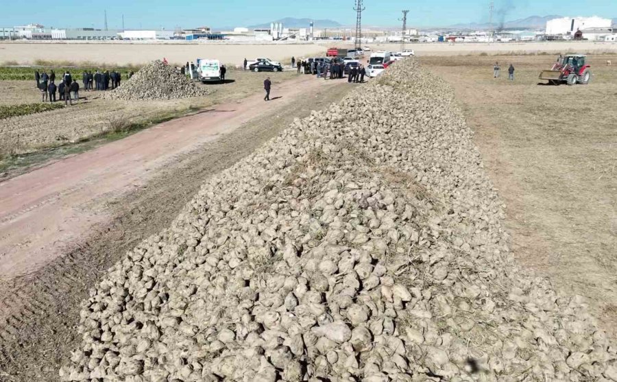 Tzob Başkanı Bayraktar: "pancar Üretiminde Dünyada 5’inci, Avrupa’da 4’üncü Sırada Yer Alıyoruz”