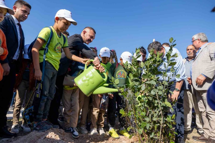 Mersin’de 30 Dönümlük ’defne Koruluğu’ Oluşturuluyor