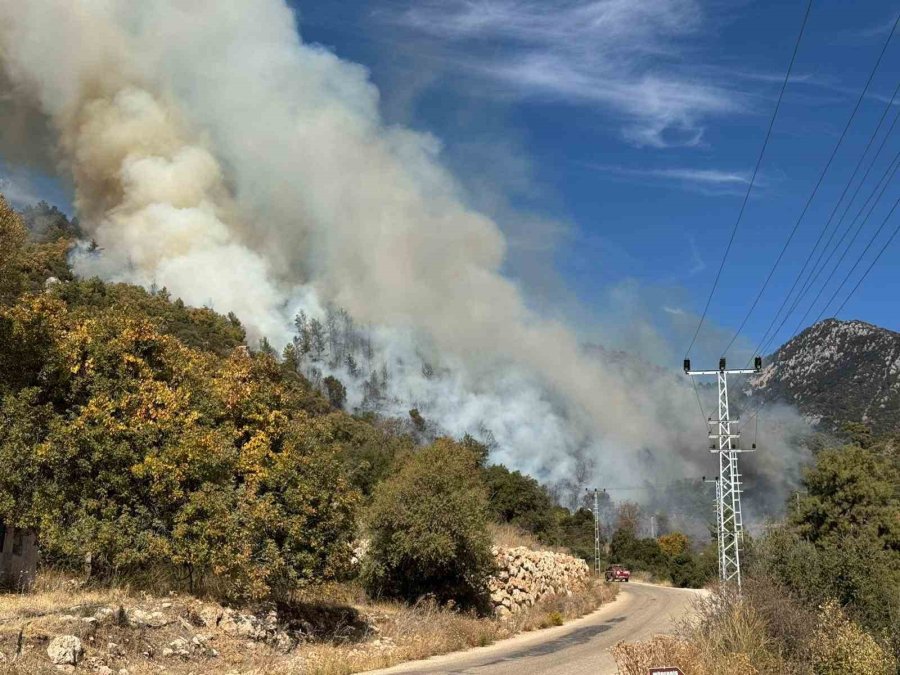 Kumluca’da Orman Yangını