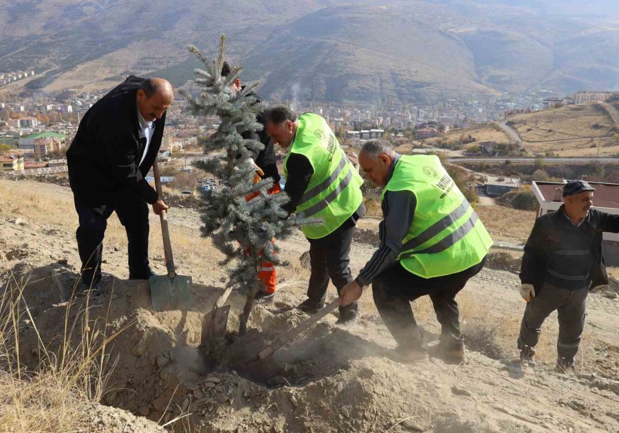 Yahyalı’da Binlerce Fidan Toprakla Buluştu