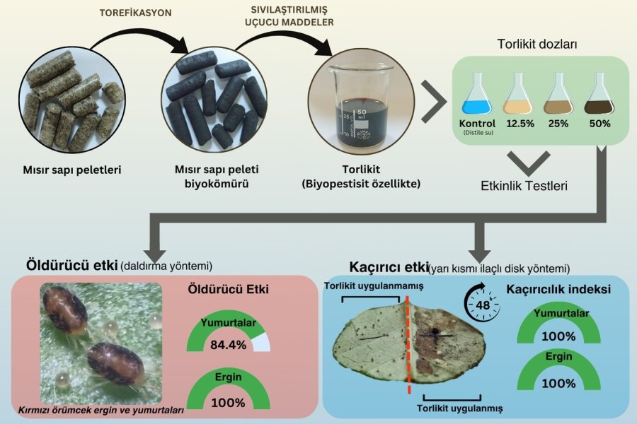 Akdeniz Üniversitesi Öğretim Üyeleri Çevre Dostu Biyopestisit Üretti