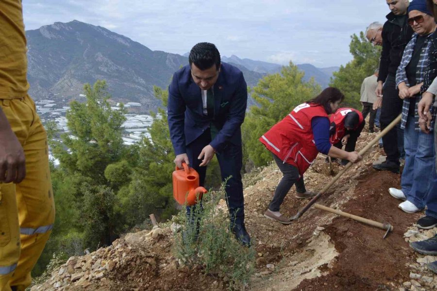 Milli Ağaçlandırma Günü’nde Karbon Zengini Tohumlar Toprakla Buluşturuldu