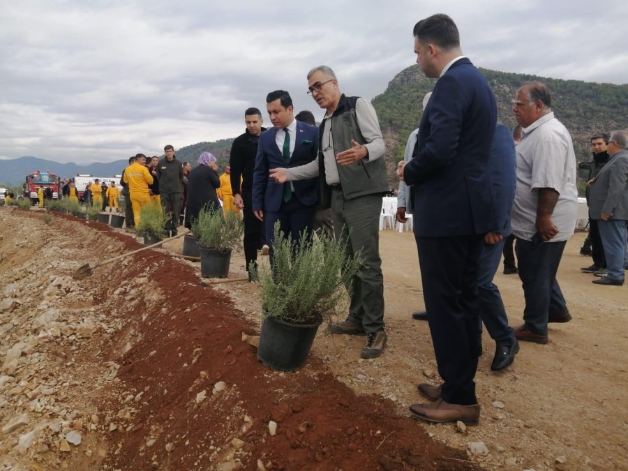 Milli Ağaçlandırma Günü’nde Karbon Zengini Tohumlar Toprakla Buluşturuldu