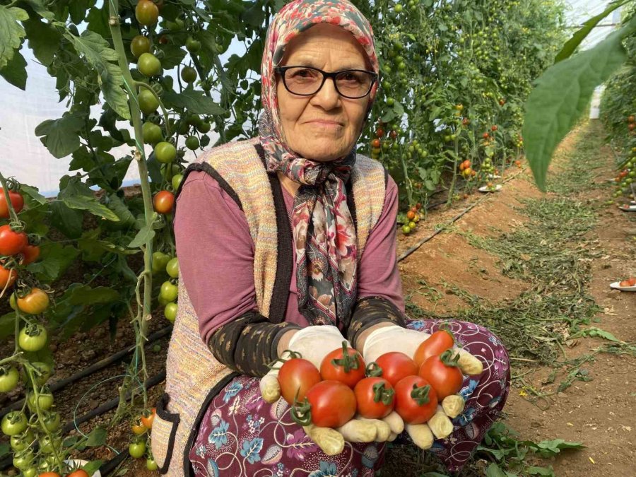 Kocası 5 Çocuğuyla Bırakıp Kaçınca 46 Sene Ev Temizledi, Şimdi İse 75 Yaşında Serada Çalışıyor