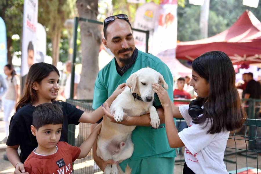 Mersin’de Patili Dostlar Yeni Yuvalarına Kavuştu