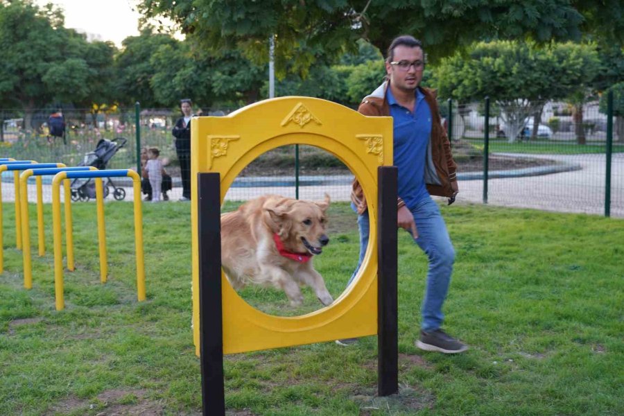 Geri Dönüşüm Malzemelerinden Pati Park