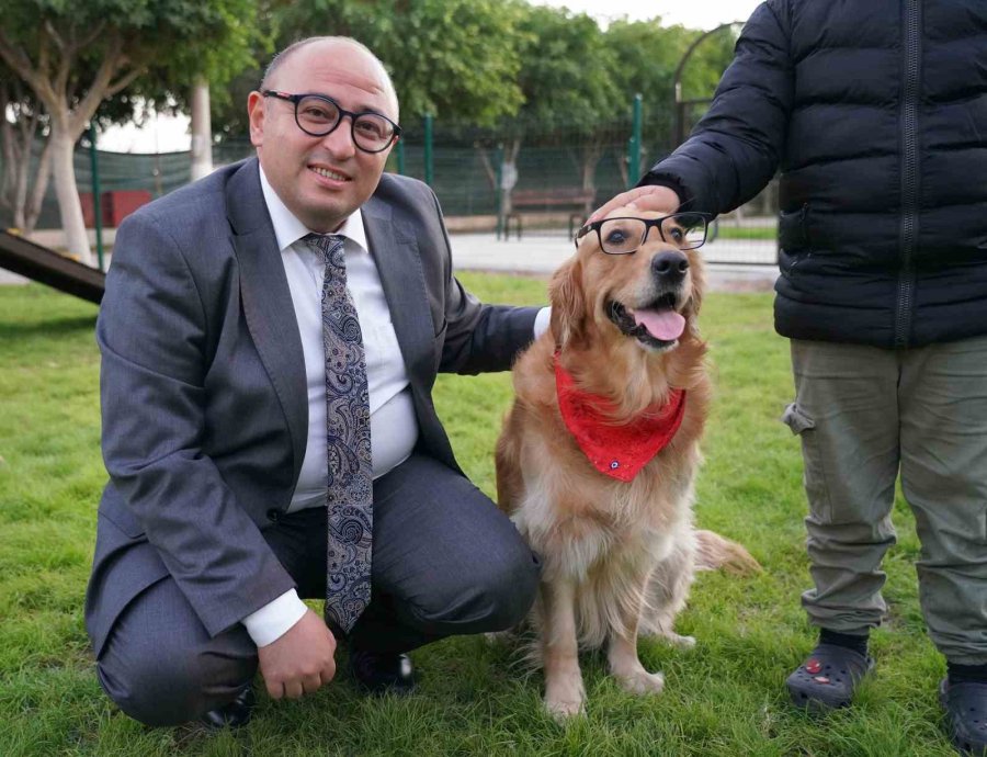 Geri Dönüşüm Malzemelerinden Pati Park