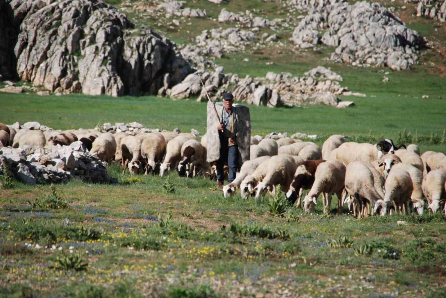 Antalya’da Yörüklerin Yayladan Dönüşü Başladı