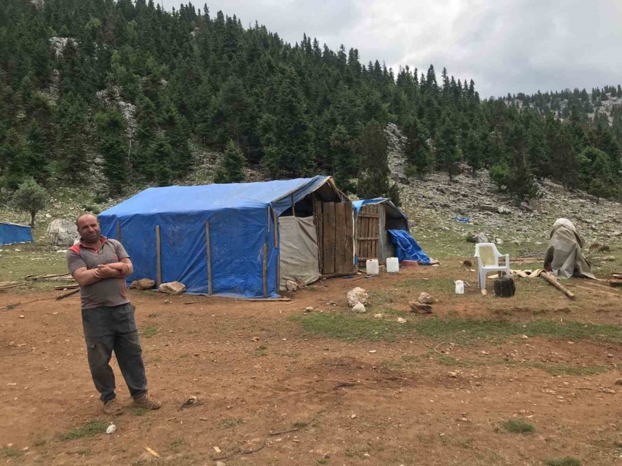 Antalya’da Yörüklerin Yayladan Dönüşü Başladı