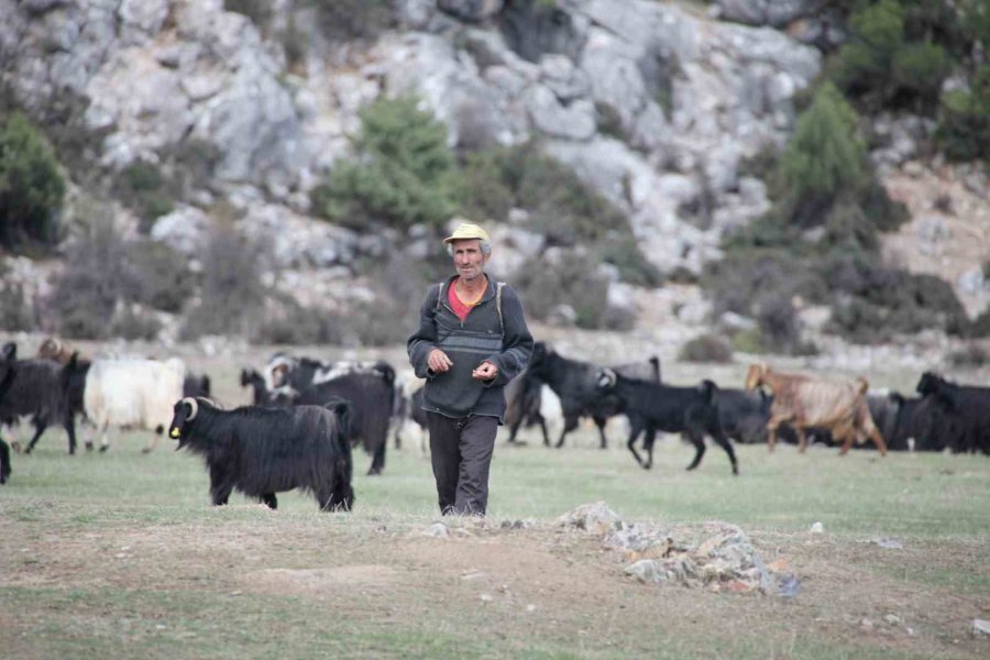 Antalya’da Yörüklerin Yayladan Dönüşü Başladı