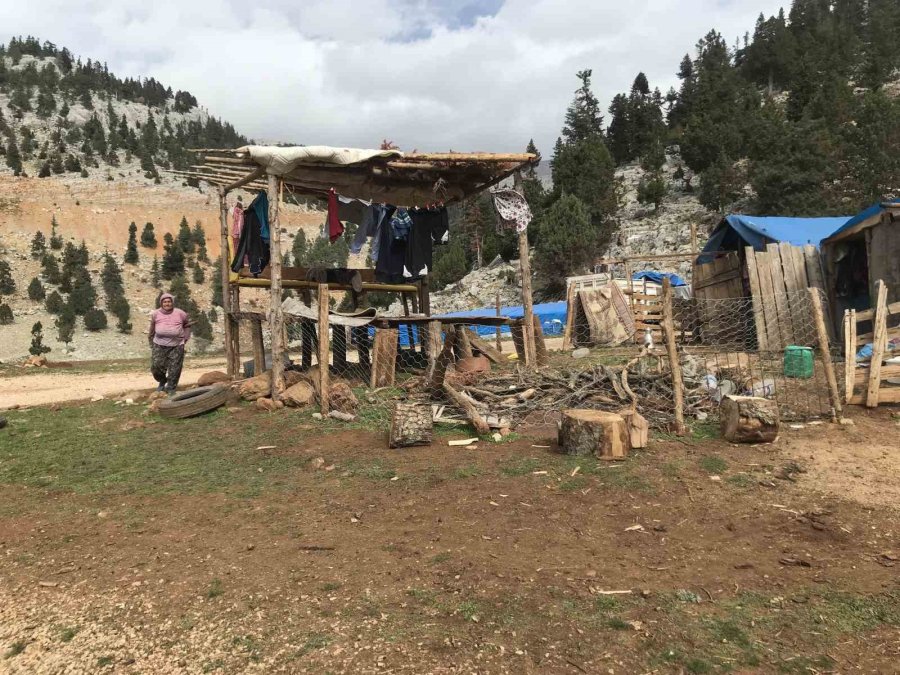 Antalya’da Yörüklerin Yayladan Dönüşü Başladı