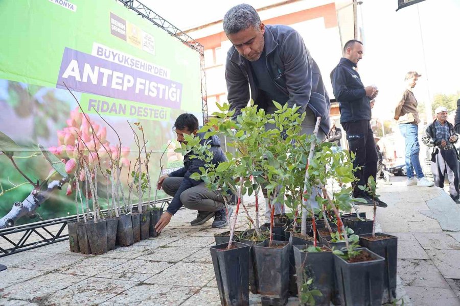 Başkan Altay: "pilot 3 İlçemizde Çiftçilerimize Antep Fıstığı Fidanı Desteğinde Bulunduk"