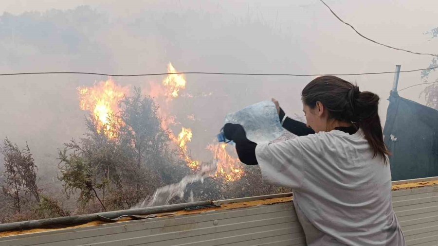 Sazlık Alandaki Yangına Hortum Ve Bidonlarla Müdahale Ettiler