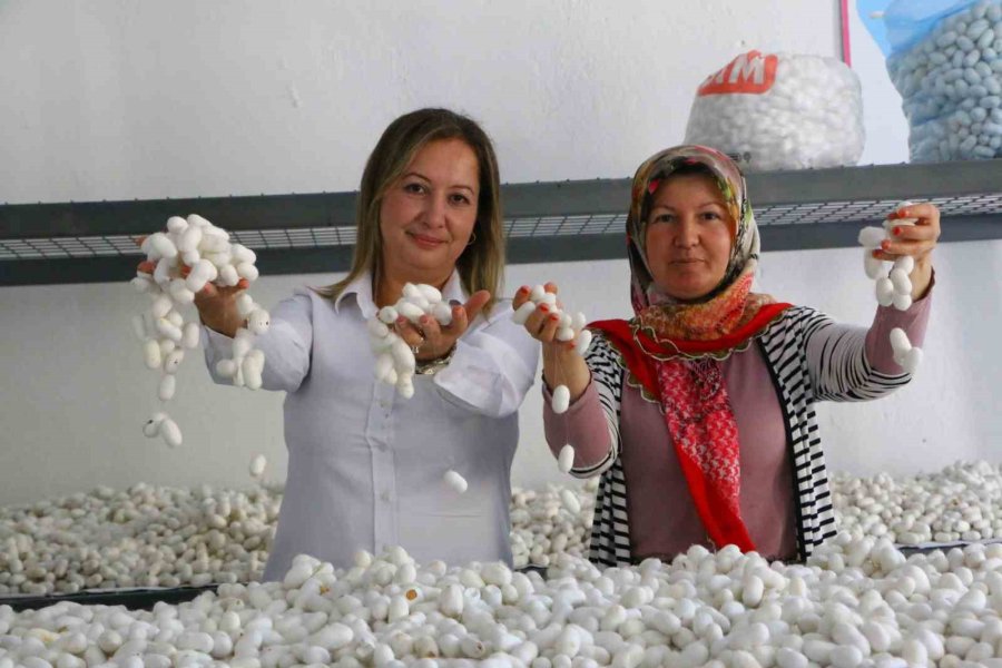 Alanya Sapadere İpek Evi’nde Eğitim Kursları Başladı