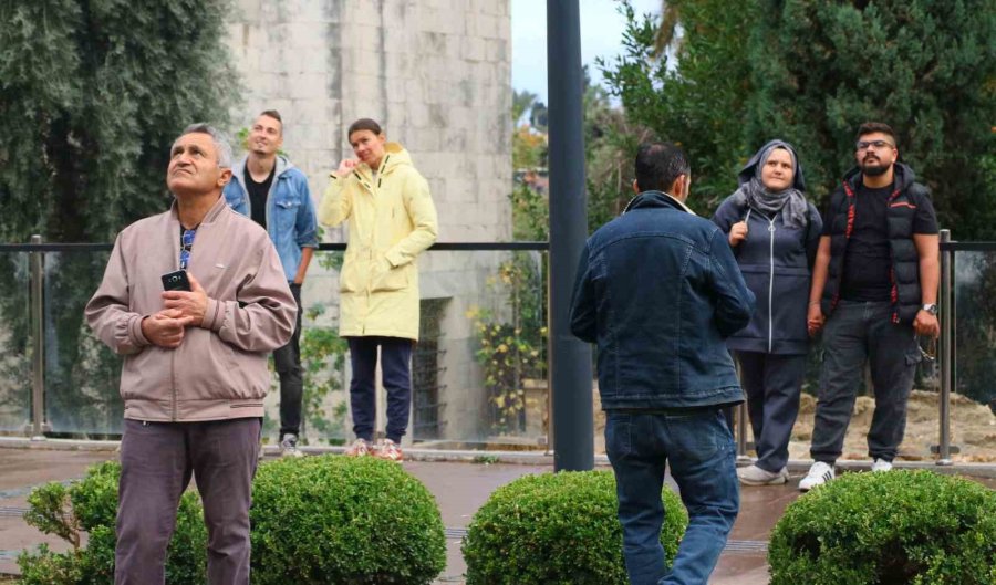 Demirler Arasında Mahsur Kalan Kedinin Kurtarılışını Film İzler Gibi İzlediler