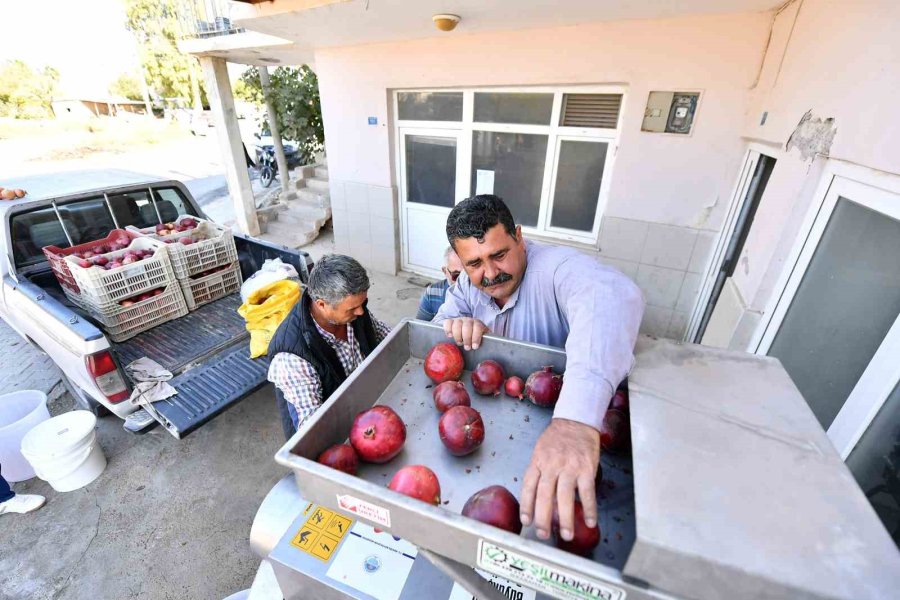 Büyükşehir Belediyesinden Üreticiye ’nar Taneleme Makinesi’ Desteği