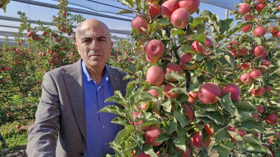 Türkiye’nin Elma Deposunda Son Hasat Yapılıyor