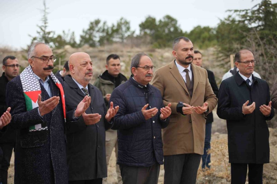 Konya’da, Gazze’deki Basın Şehitleri İçin Hatıra Ormanı Kuruldu