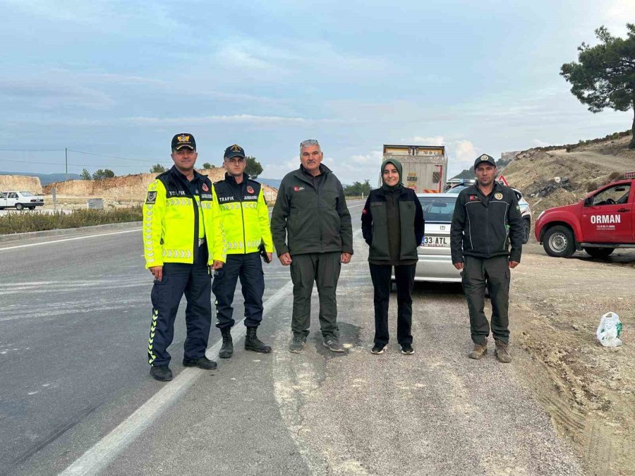 Silifke’de Orman Suçlarına Karşı Önleme Araması Yapıldı