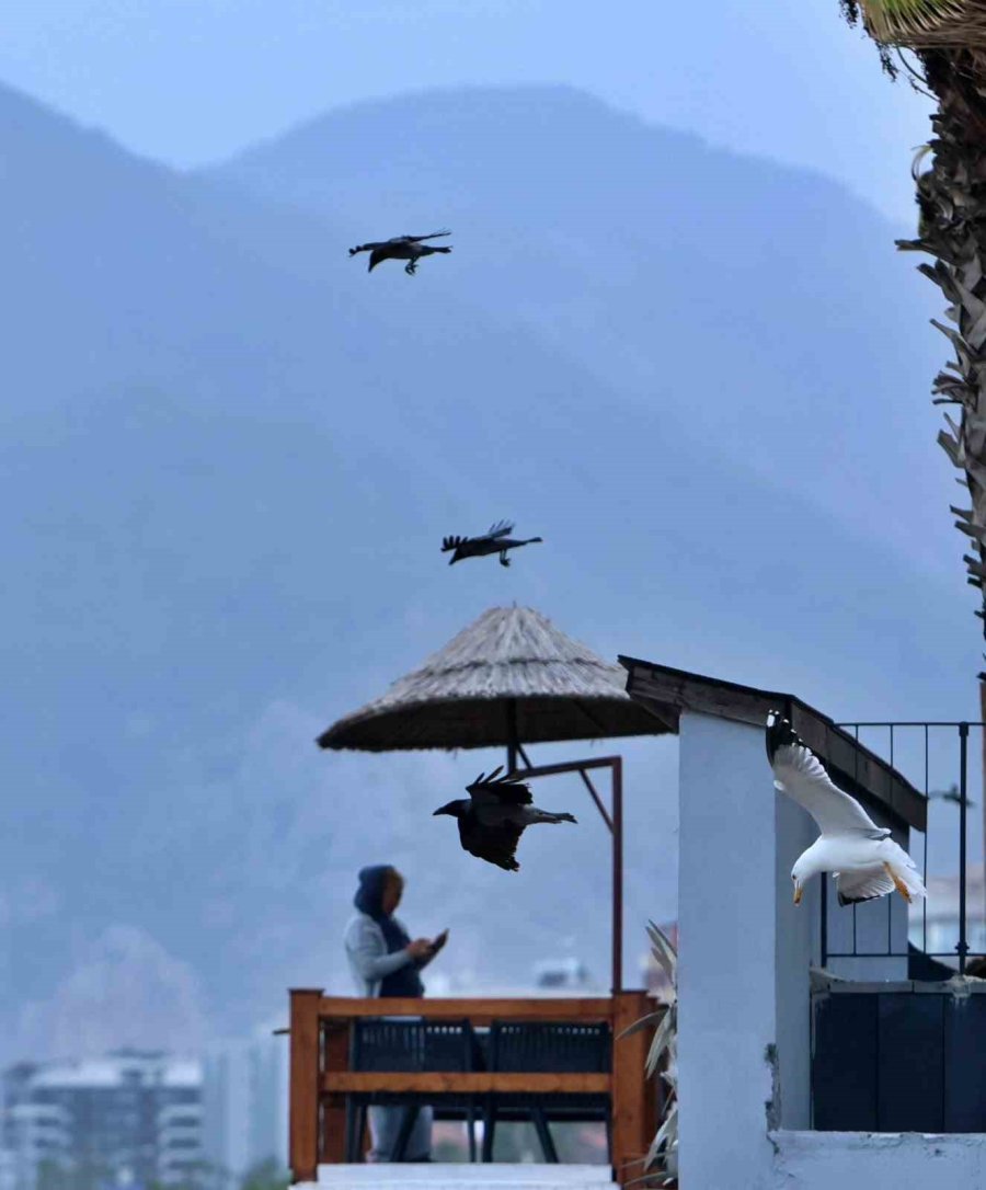 Rus Turist Fırtınanın Oluşturduğu Dev Dalgalar Arasında Denize Girdi, Ceket Giyenlere Güldü