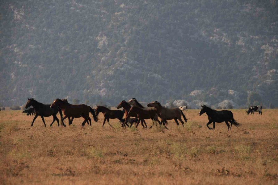 Dünyanın En İyi Turizm Köyü Eşsiz Güzellikleriyle Misafirlerini Bekliyor