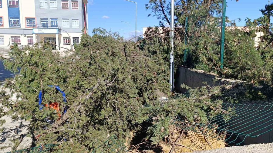 Manavgat’da Şiddetli Fırtına Ve Rüzgar Ağaçları Yıktı, Okula Zarar Verdi