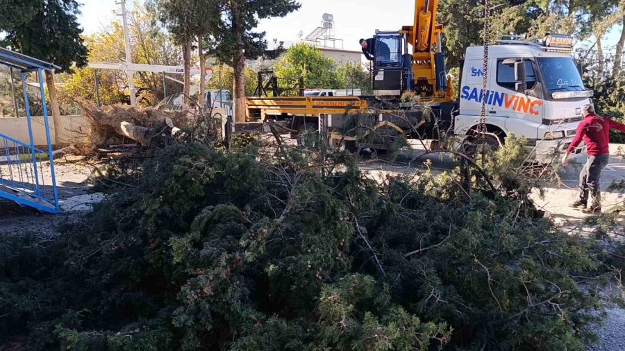 Manavgat’da Şiddetli Fırtına Ve Rüzgar Ağaçları Yıktı, Okula Zarar Verdi