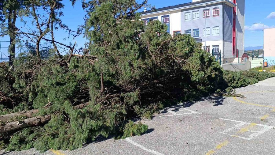 Manavgat’da Şiddetli Fırtına Ve Rüzgar Ağaçları Yıktı, Okula Zarar Verdi