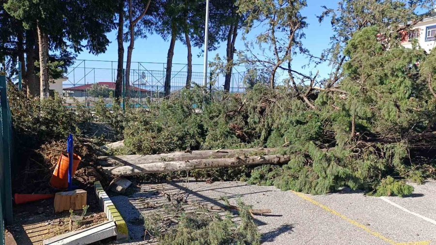 Manavgat’da Şiddetli Fırtına Ve Rüzgar Ağaçları Yıktı, Okula Zarar Verdi