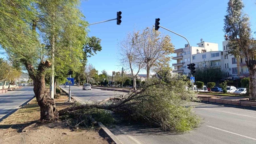 Mersin’de Fırtına Ağaçlar Devrildi, Araçlar Zarar Gördü Camlar Kırıldı