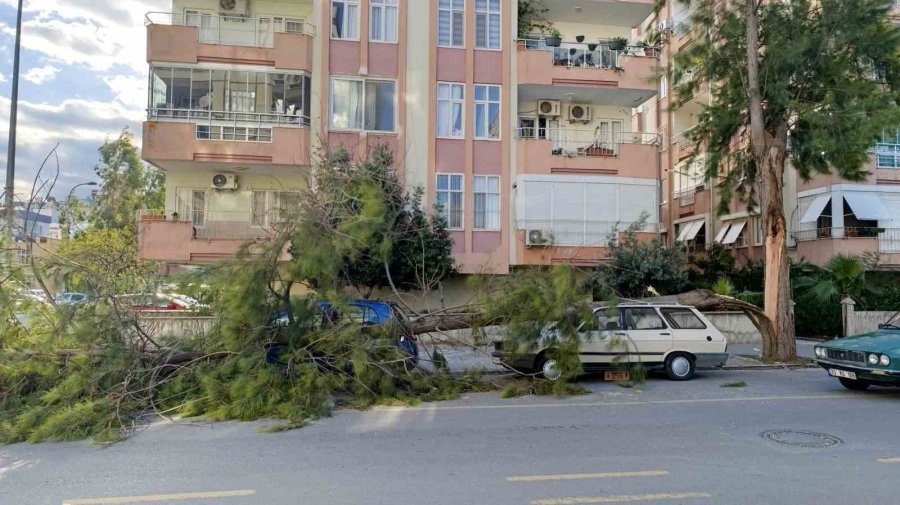 Mersin’de Fırtına Ağaçlar Devrildi, Araçlar Zarar Gördü Camlar Kırıldı